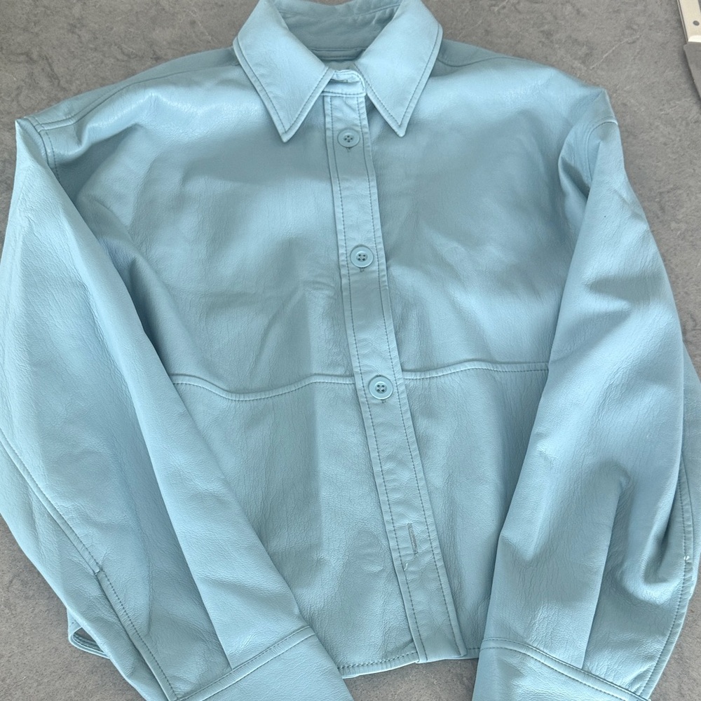 Aritzia Pelli soft leather Blue Button-Up Shirt
